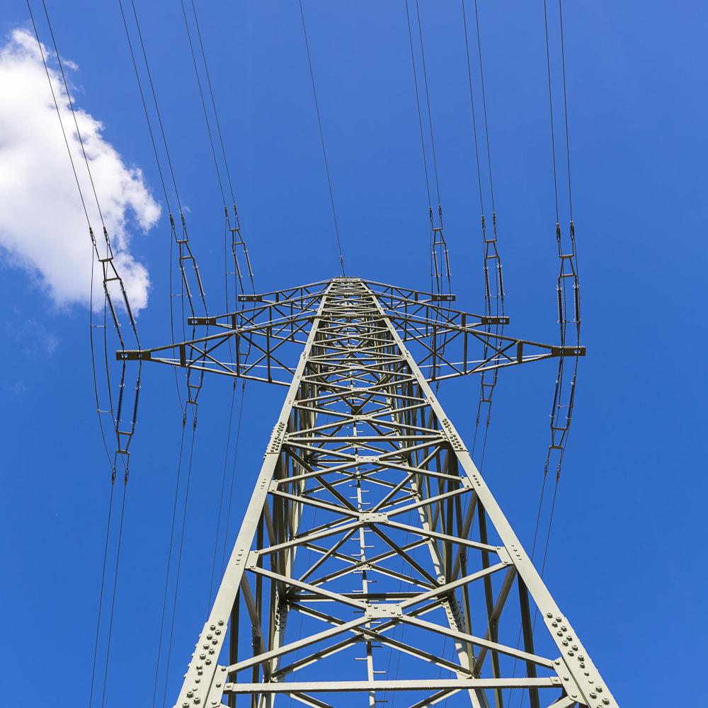 Electricity Grids