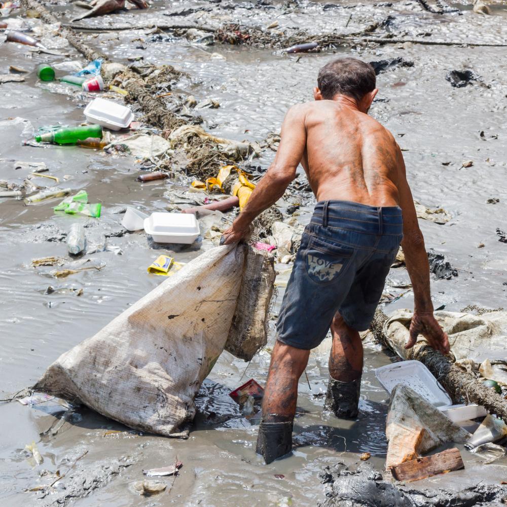 Risk and Pollution Management