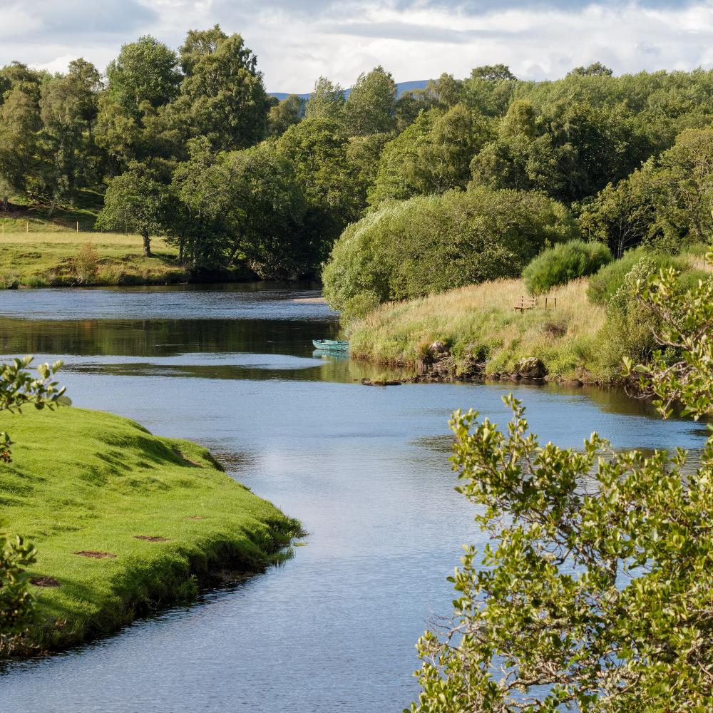 Water Resources Management