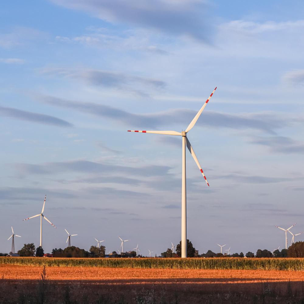 Renewable Energy