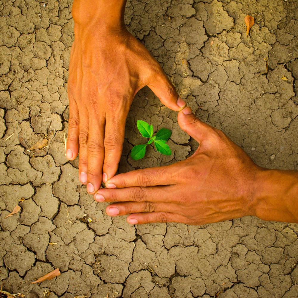 Climate Change and Sustainability