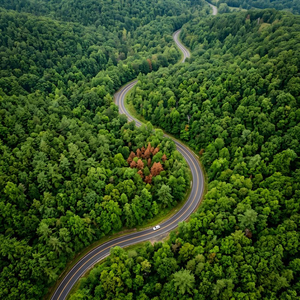 Environment Managment